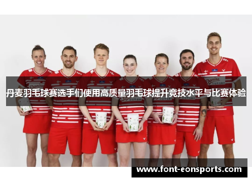 丹麦羽毛球赛选手们使用高质量羽毛球提升竞技水平与比赛体验