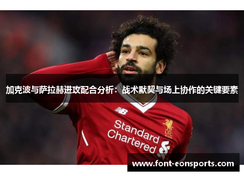 加克波与萨拉赫进攻配合分析：战术默契与场上协作的关键要素