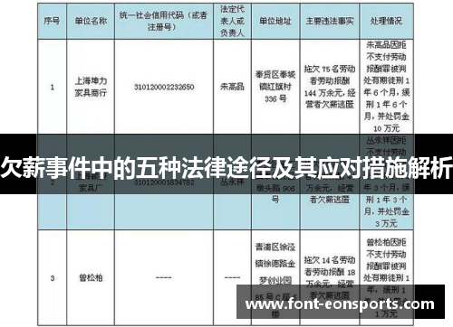 欠薪事件中的五种法律途径及其应对措施解析