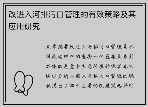 改进入河排污口管理的有效策略及其应用研究