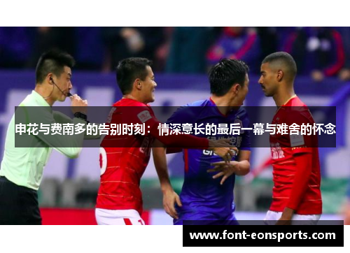 申花与费南多的告别时刻：情深意长的最后一幕与难舍的怀念