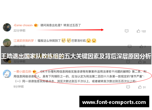 王皓退出国家队教练组的五大关键因素及背后深层原因分析